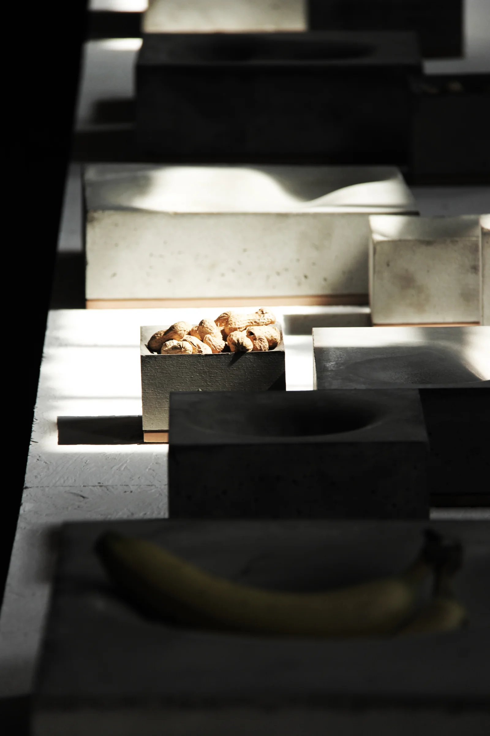 VELS COLLECTION by Stal Collectief